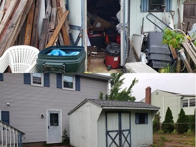 Shed Clean Out